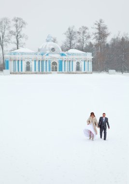 Just married holding hands on freezing lake area in winter season clipart