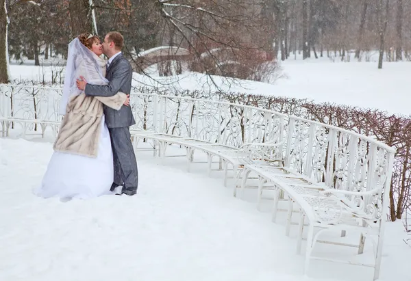 雪に覆われた公園でキス白人のロシアのカップル結婚式のカップル。ロシアの冬の季節 — ストック写真