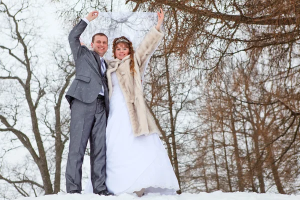 行走在雪域公园的高加索俄罗斯夫妇的婚礼的年轻人。俄罗斯的冬季 — 图库照片