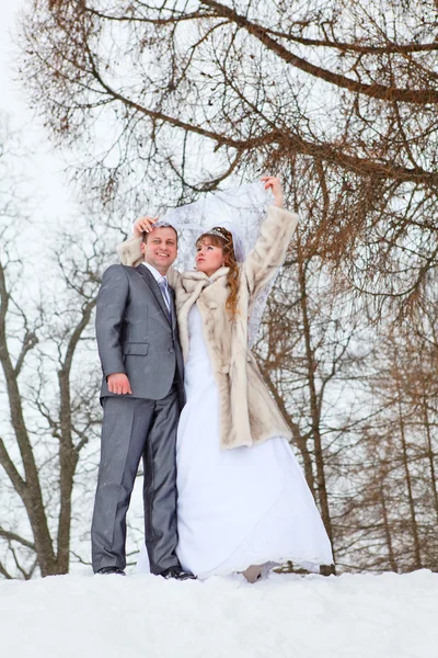 若い結婚式の雪に覆われた公園の上を歩いて白人のロシアのカップル。ロシアの冬の季節 — ストック写真