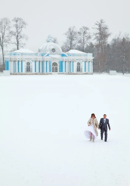Právě oženil, drželi se za ruce na zmrazení oblasti jezera v zimní sezóně — Stock fotografie