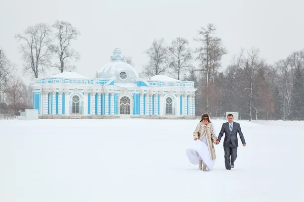Только что женился, держась за руки на ледяном озере в зимний сезон — стоковое фото
