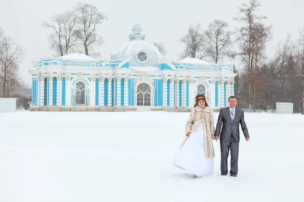 Net getrouwd hand in hand op bevriezing Merengebied in winterseizoen — Stockfoto