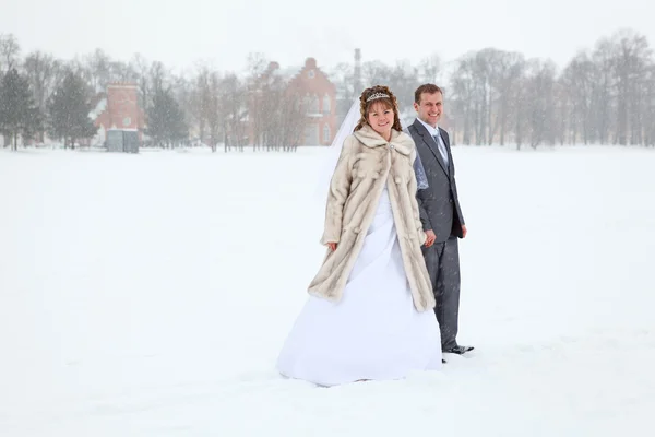 Только что женился, держась за руки на ледяном озере в зимний сезон — стоковое фото