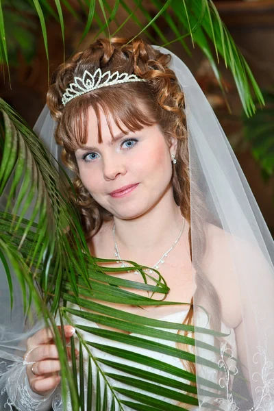 Potret pengantin wanita cantik di balik daun palem — Stok Foto