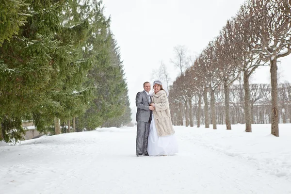 Молодая брачная русская пара, гуляющая по снежному парку. Зимний сезон в России — стоковое фото