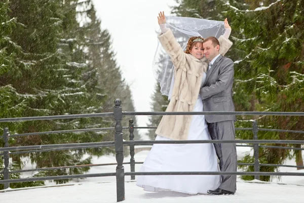 Young wedding Caucasian Russian couple standing on bridge in snowy park. Winter season in Russia — Stock Photo, Image