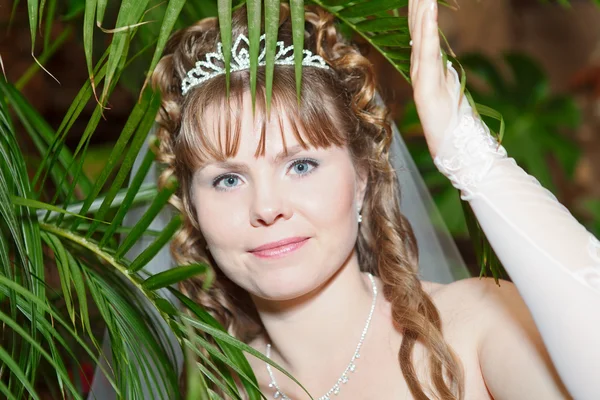Женщина в короне под пальмовым листом — стоковое фото