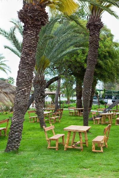 Territorio alberghiero con tavoli e panche in legno su erba verde — Foto Stock
