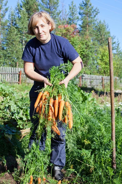 Зріла жінка у власному саду з купою свіжої моркви — стокове фото