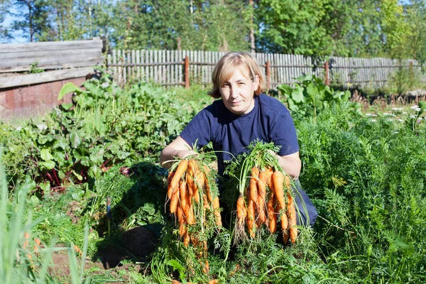 Volwassen vrouw in tuin bedrijf bos van wortel — Stockfoto