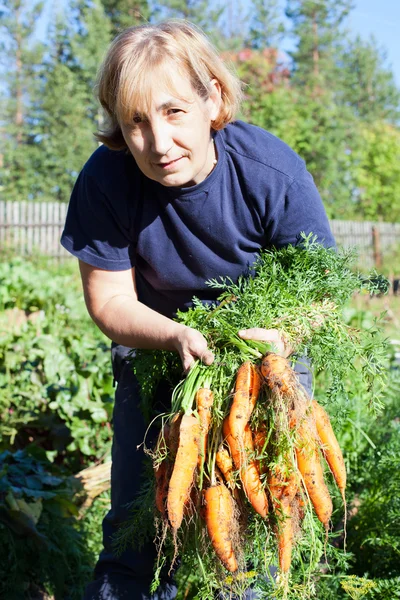 Reife Frau im Garten mit Haufen Karotte — Stockfoto
