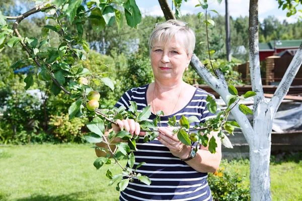 Mujer adulta mayor parada cerca del manzano con almuerzo de manzanas verdes —  Fotos de Stock