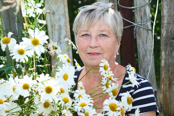 Senior vuxen kvinna mellan gäng växande chamomiles — Stockfoto