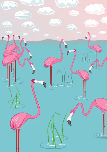 Pink flamingos on the bay. Vector illustration — Stock Vector