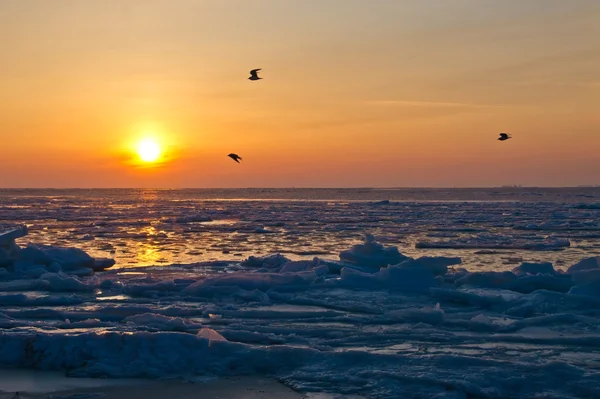 stock image Frozen sea at early morning