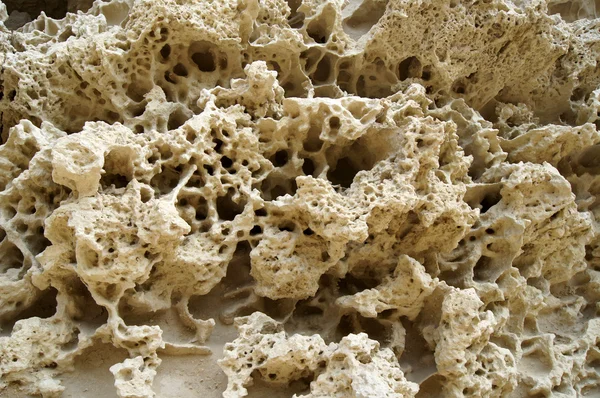 stock image Nature's lace, Background with erosion of calcium stones