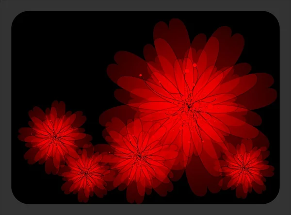 Červené květy na černou kartu — Stock fotografie