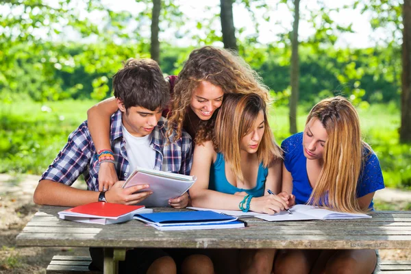 Groep tiener studenten bij park — Stockfoto