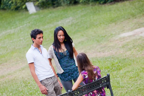 Groep tieners praten op park — Stockfoto