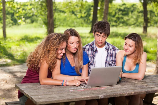 Grupa nastoletnich uczniów w parku z komputera i książek — Zdjęcie stockowe