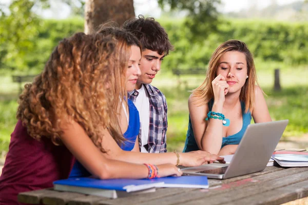 Группа подростков в парке с компьютером и книгами — стоковое фото