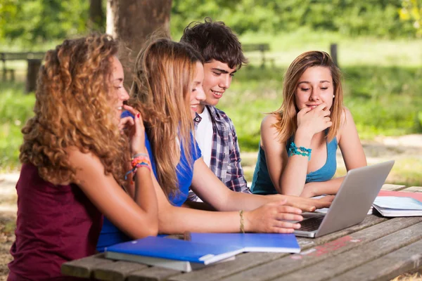 Group of Teenage Students at Park with Computer and Books — Stock Photo, Image