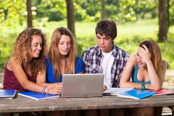 Gruppo di Studenti Teenager al Parco con Computer e Libri — Foto Stock