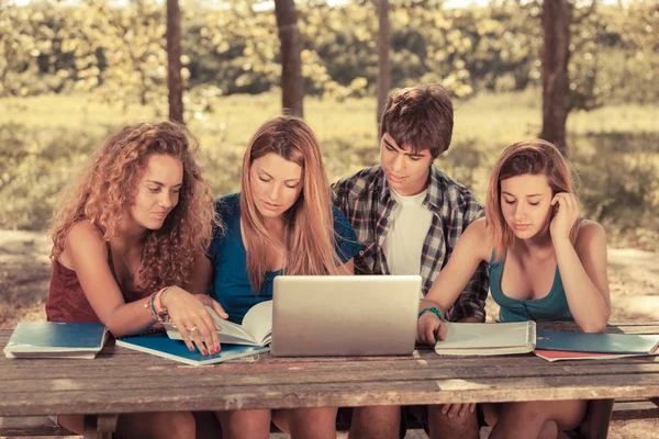 Grupo de Estudiantes Adolescentes en el Parque con Ordenador y Libros — Foto de Stock