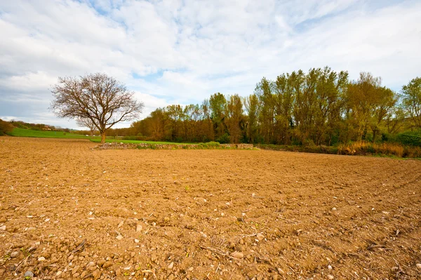 Plowed Fields — Stock Photo, Image