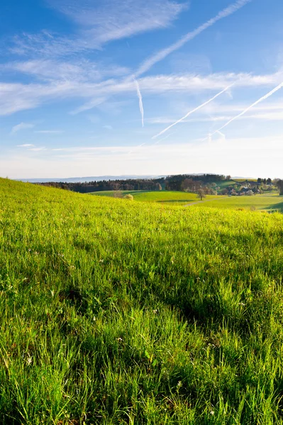 stock image Green Pastures