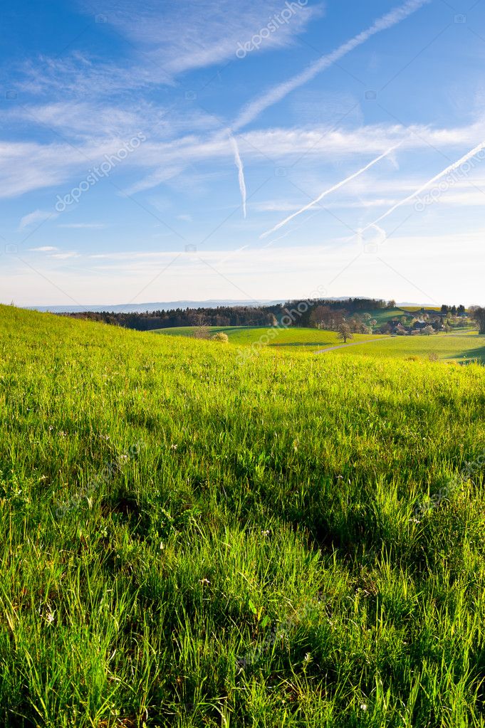 Green Pastures Stock Photo By ©ggkuna 11029176