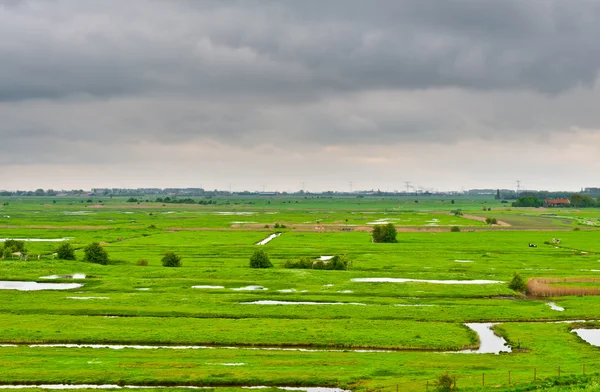 Zelanda Kanallar