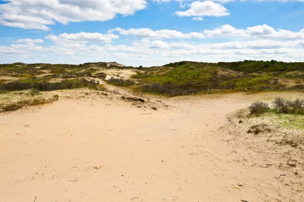 Grandes dunes — Photo
