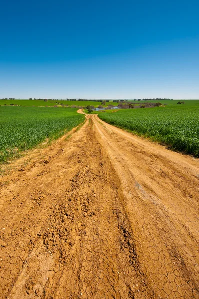 Dirt Road — Stock Photo, Image