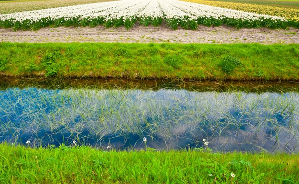 Stock image Irrigation Canal