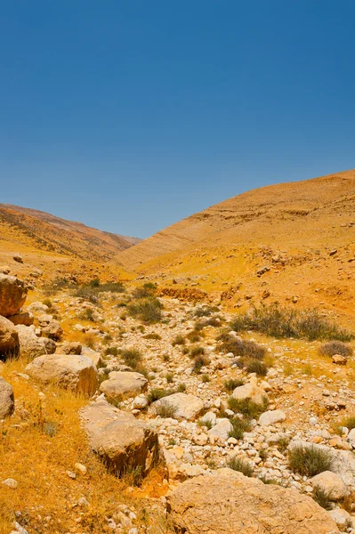 Wüste Israel — Stockfoto