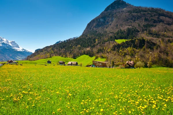 Villaggio svizzero — Foto Stock