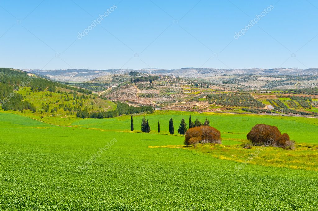 Israel Landscape — Stock Photo © ggkuna #11797828