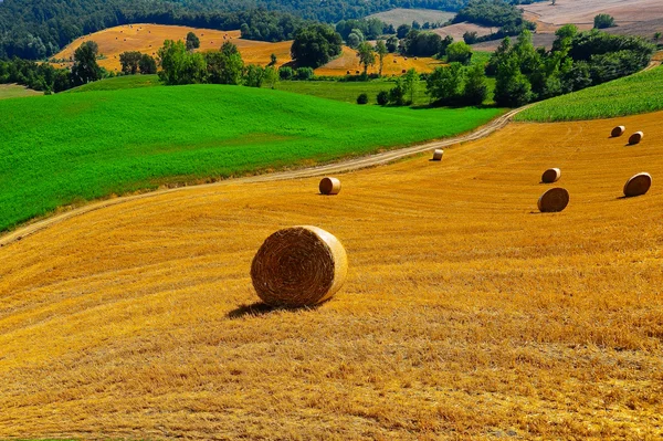 Toscana landscap — Stockfoto