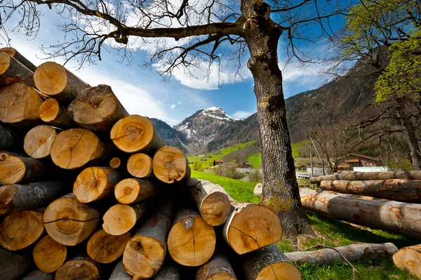 stock image Firewood