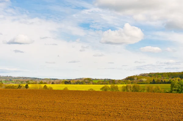 Belgische landschap — Stockfoto