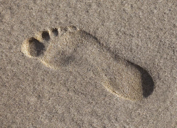 濡れた砂の足跡 — ストック写真