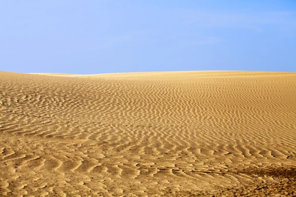 Duna do deserto — Fotografia de Stock