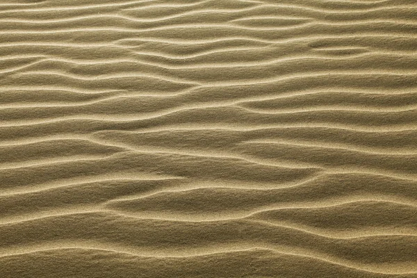 파문이 모래 — 스톡 사진