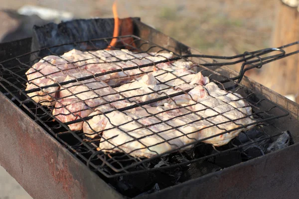 Маринованная свинина на барбекю — стоковое фото