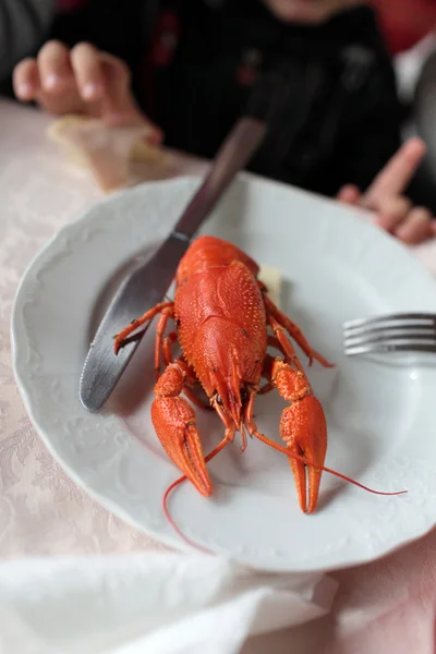 Red boiled crawfish — Stock Photo, Image
