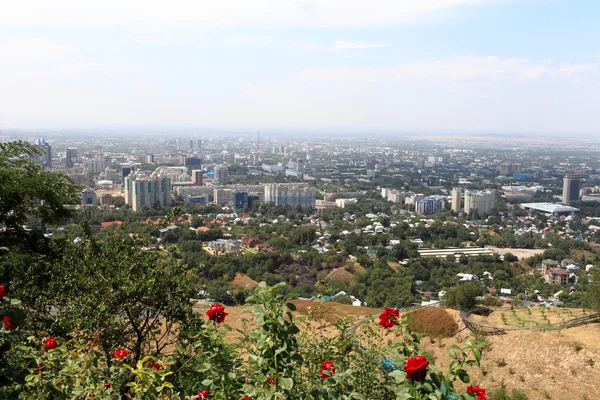 Almaty landscope og roser – stockfoto