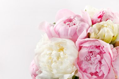 Rich bunch of peonies clipart