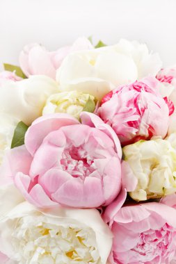 Rich bunch of peonies clipart